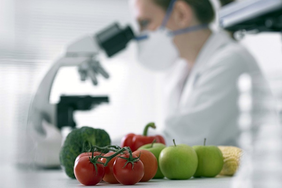żywność modyfikowana genetycznie
