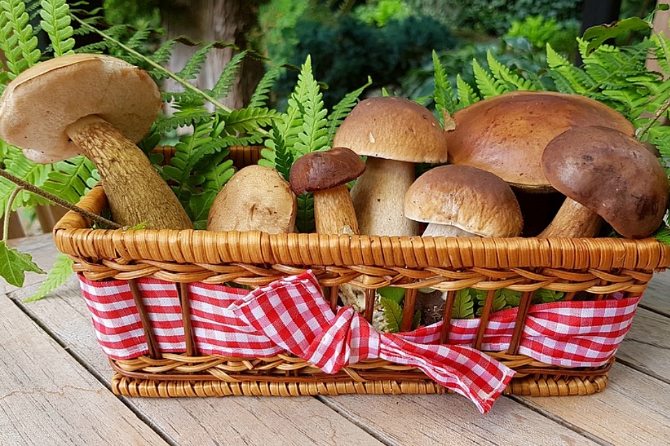 Grzyby zamiast mięsa