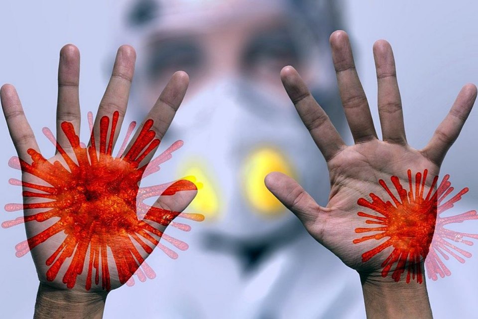 ryzyko zakażenia koronawirusem przez żywność