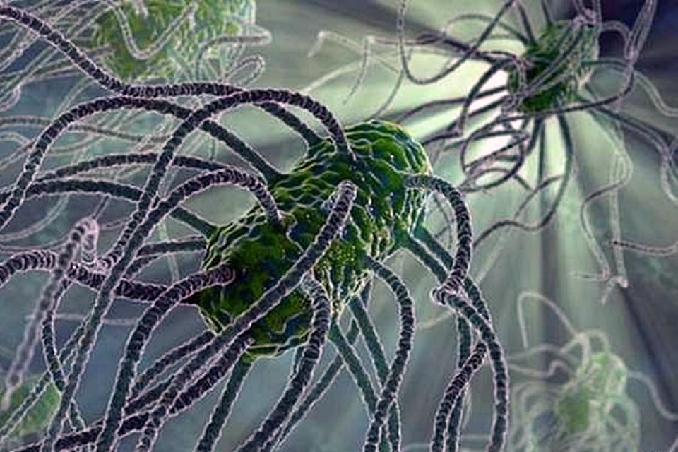 Infekcja rotawirusowa