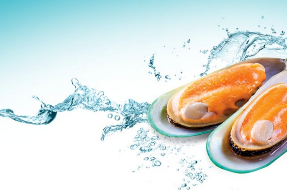 Omułek zielonowargowy