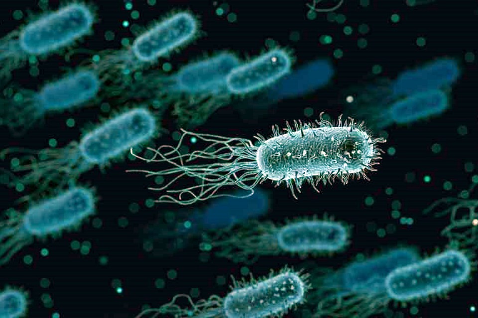 zwyczaje higieniczne Polaków